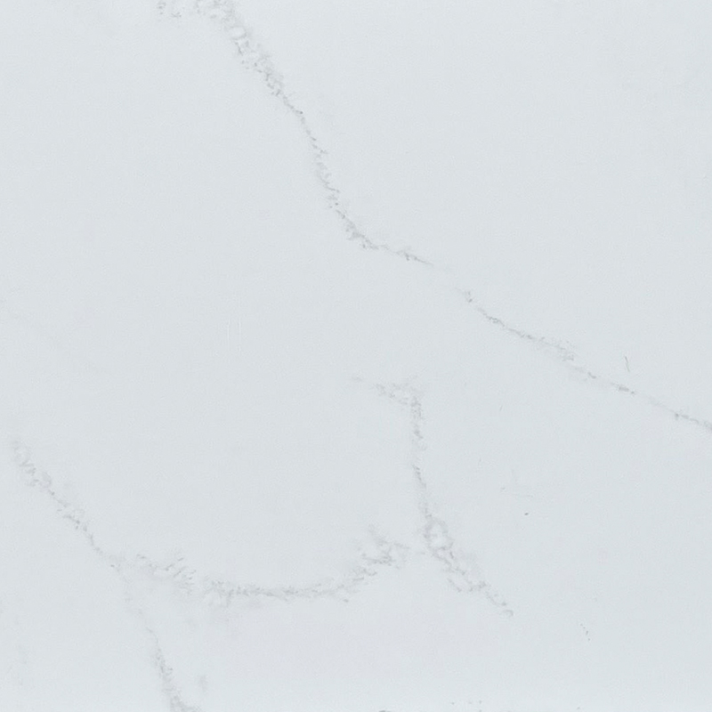 FP13001